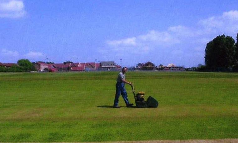 Is mowing the lawn destined to become a thing of the past? 