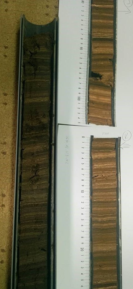 Varved sediment core from Lake Głęboczek (top) with high resolution image (bottom). 